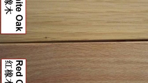 Tìm hiểu về Gỗ sồi. Tại sao gỗ sồi lại được ưa chuộng trong thiết kế nội thất?